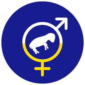 Product icon - Reproduction