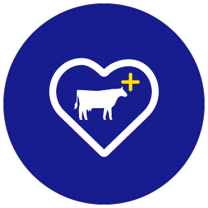 Product icon - Animal Health