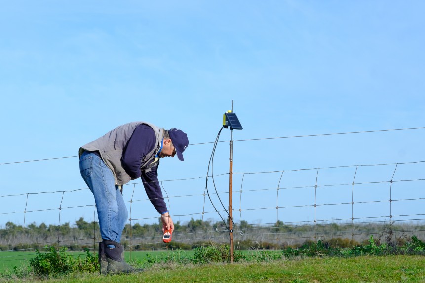 Fence Monitoring Charlie