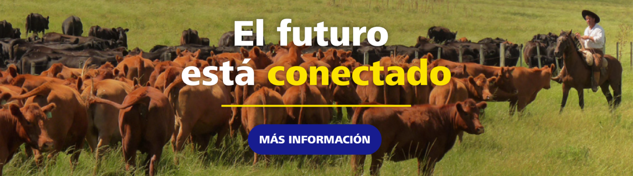 TT Latin America desktop banner